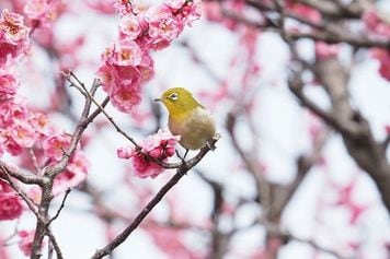 先週のトウシル記事3選:NISAは満額使うべき?波乱相場で考える「余白=資金力」・こどもNISA×児童手当・株主優待で巡る東北銘柄