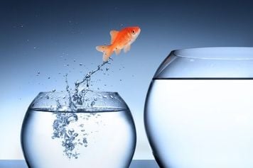 強気から慎重に転じるのはいつ？