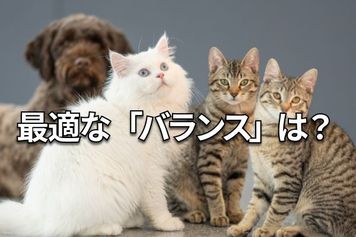 【クイズ】高市ラリーで株急騰！もう売るべき？理想の「リバランス」は？
