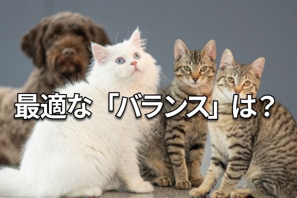 【クイズ】高市ラリーで株急騰！もう売るべき？理想の「リバランス」は？