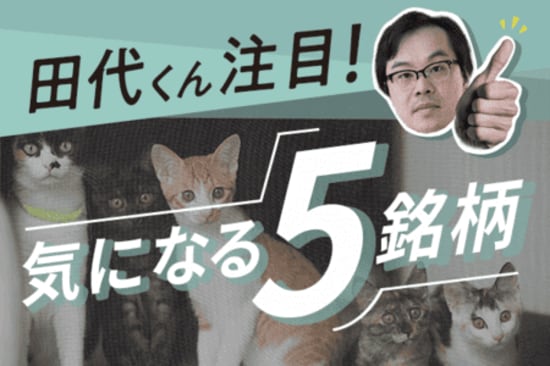 【中小型株5選】配当利回りで選ぶ？優待内容で選ぶ？ 
