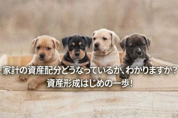 家計の資産配分どうなっているか、わかりますか？資産形成はじめの一歩！