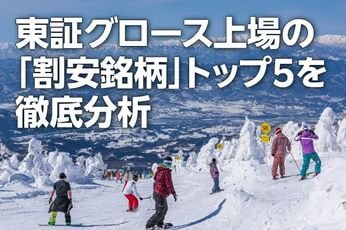 東証グロース上場の「割安銘柄」トップ5を徹底分析(西 勇太郎)