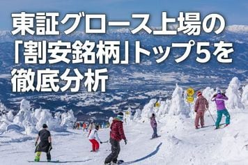 東証グロース上場の「割安銘柄」トップ5を徹底分析(西 勇太郎)