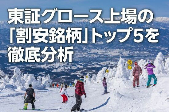 東証グロース上場の「割安銘柄」トップ5を徹底分析（西 勇太郎）