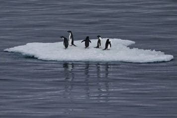 【1997(平成9)年12月11日】温暖化防止、京都議定書に署名