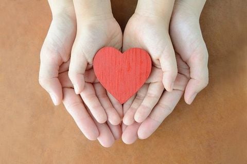 生命保険、税金で損しない！入り方と受け取り方は？