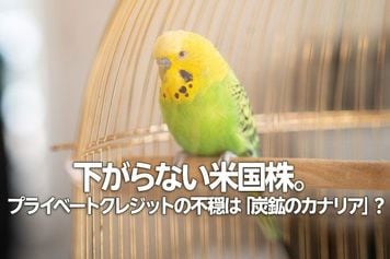 下がらない米国株。プライベートクレジットの不穏は「炭鉱のカナリア」？（土信田雅之）