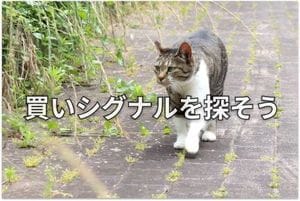 【投資クイズ】ローソク足で市場心理を読み解くには？