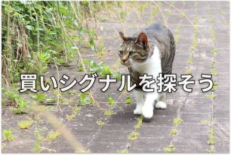 【投資クイズ】ローソク足で市場心理を読み解くには？