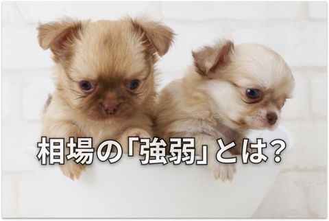 【投資クイズ】ローソク足で「売りか、買いか」判断しよう