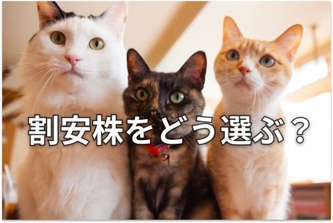 【投資クイズ】日本製鉄・JR東海・KDDI・東京電力HD…高収益＆割安＆高配当なのは？
