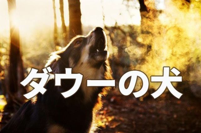 利回り5 0 高配当株ファンド を自分で作る ダウの犬 戦略 トウシル 楽天証券の投資情報メディア