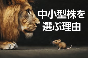 今こそ、出遅れ「中小型株」ファンドに注目!成長と安定のいいとこ取り