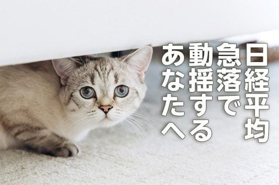 日経平均急落、ここからどうする？ファンドマネジャー時代のトレード鉄則（窪田真之）