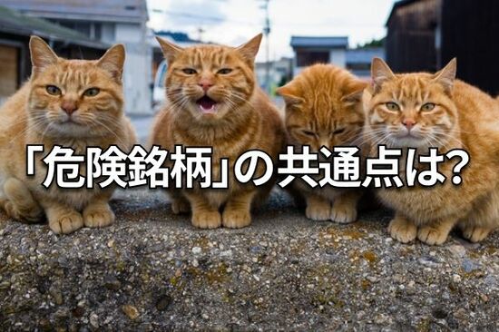 【クイズ】財務危機銘柄の見分け方：優待投資家も必見の「損切りルール」を学ぶ