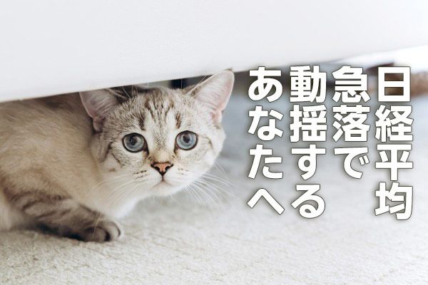 日経平均急落、ここからどうする？ファンドマネジャー時代のトレード鉄則（窪田真之）