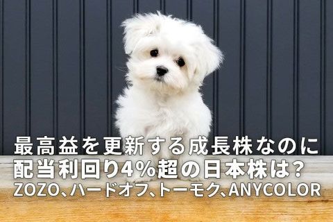 ANYCOLOR、ハードオフ、トーモク、ZOZO：最高益予想なのに配当利回り4％超はどれ？