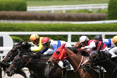 1954（昭和29）年9月16日】中央競馬会発足 | トウシル 楽天証券の投資 