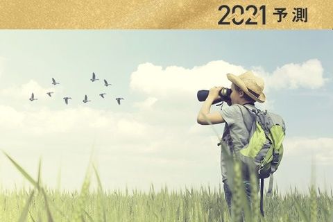 日本株市場2021年8大予測：個人投資家・まつのすけさん