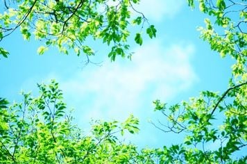 日経平均の堅調続く。さらなる上昇も期待できるが、まず3万4,000円を試す動きへ