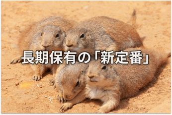 【投資クイズ】INPEX、ホンダ、JR東海、ソフトバンクは割安か?