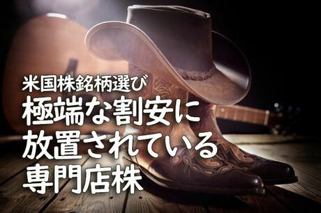 米国株銘柄選び　極端な割安に放置されている専門店株