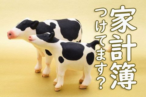 家計簿つけていますか？