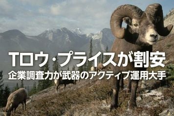 Tロウ・プライスが割安：企業調査力が武器のアクティブ運用大手（西 勇太郎）