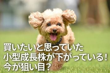 買いたいと思っていた小型成長株が下がっている！今が狙い目？