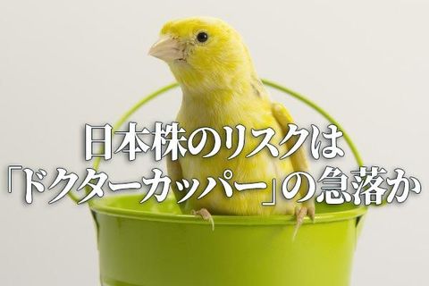 外国人投資家にとって日本株は割安？ドクターカッパーに要注意