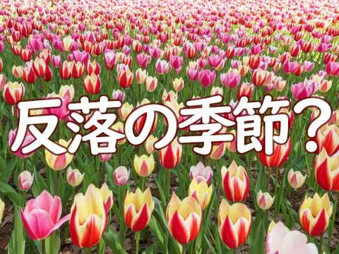 セル・イン・メイに注意。「ニュー・エコノミー・インデックス」はTOPIXより強い？
