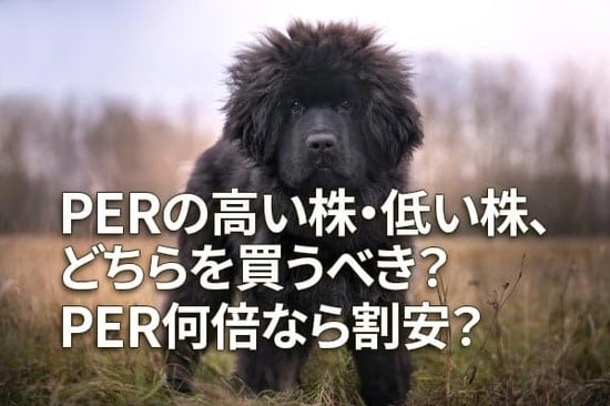 PERの高い株・低い株、どちらを買うべき？PER何倍なら割安？
